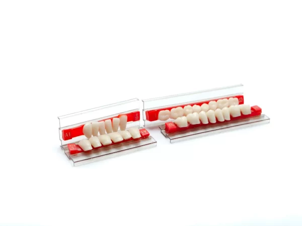 Acrylic Resin Teeth - Image 3