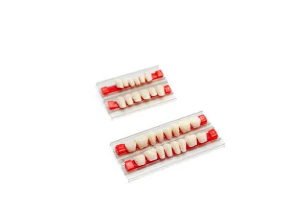 Acrylic Resin Teeth - Image 2