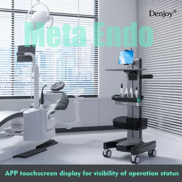 Denjoy Meta Endo - Image 4